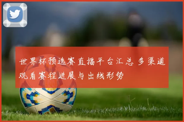 世界杯预选赛直播平台汇总 多渠道观看赛程进展与出线形势