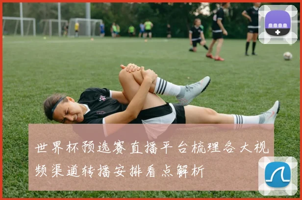 世界杯预选赛直播平台梳理各大视频渠道转播安排看点解析