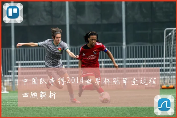 中国队夺得2014世界杯冠军全过程回顾解析