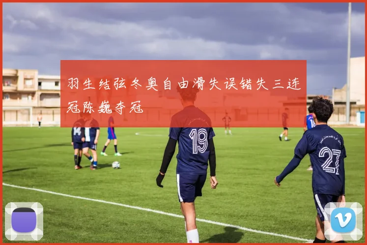 羽生结弦冬奥自由滑失误错失三连冠陈巍夺冠